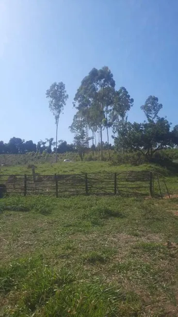 Foto 1 de Fazenda/Sítio com 3 Quartos à venda, 150000m² em Lamounier, Itapecerica