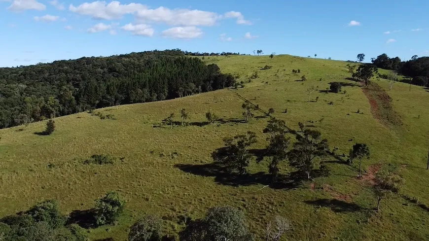 Foto 1 de Fazenda/Sítio à venda, 3025000m² em Zona Rural, Ibiporã