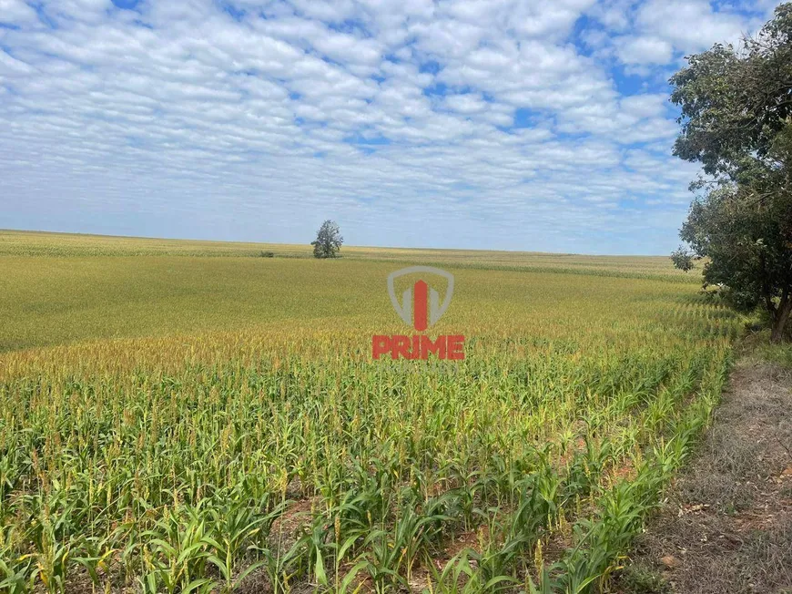 Foto 1 de Fazenda/Sítio à venda, 266200m² em Zona Rural , Bela Vista do Paraíso