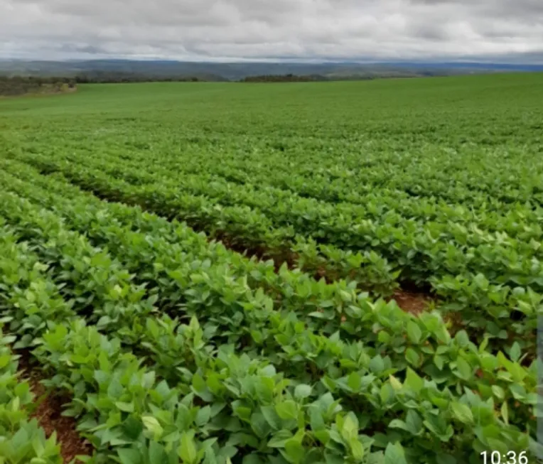 Foto 1 de Fazenda/Sítio à venda em Zona Rural, Alto Paraíso de Goiás