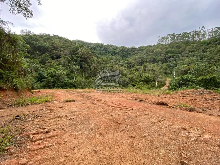 Foto 1 de Lote/Terreno à venda, 410603m² em Garcia, Angelina