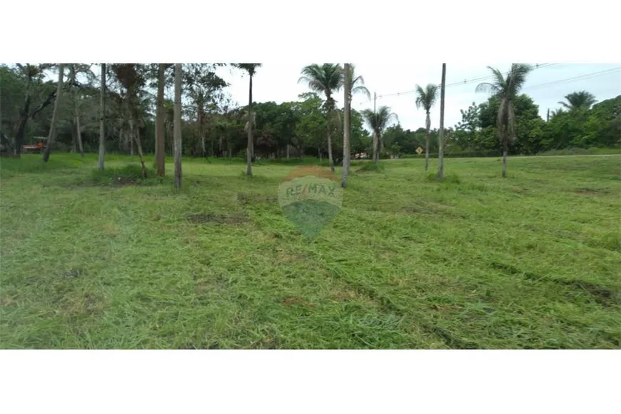 Foto 1 de Lote/Terreno à venda, 15000m² em Alagoinhas Velha, Alagoinhas