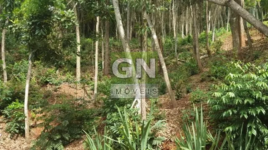 Foto 1 de Lote/Terreno à venda, 2400m² em Bosque da Ribeira, Nova Lima