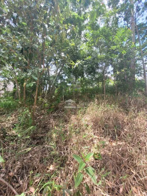 Foto 1 de Lote/Terreno à venda, 377m² em Bairro do Carmo, São Roque