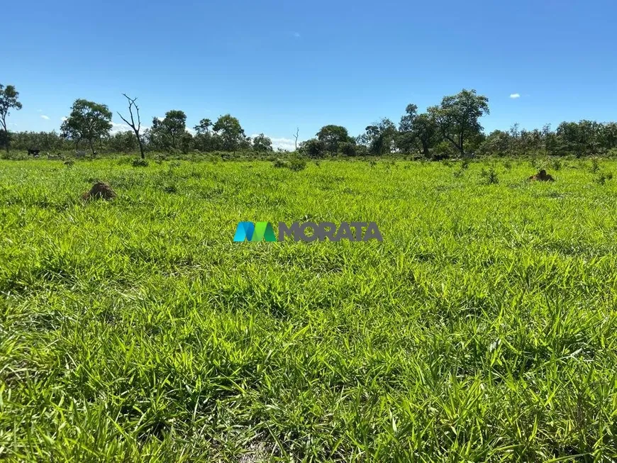 Foto 1 de Fazenda/Sítio com 1 Quarto à venda, 103m² em Rural, Curvelo