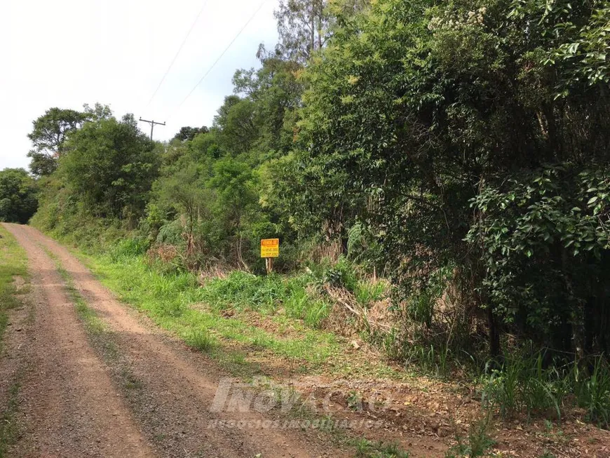 Foto 1 de Lote/Terreno à venda, 138675m² em , Antônio Prado