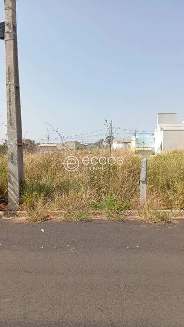 Foto 1 de Lote/Terreno à venda, 297m² em Paraíso, Araguari