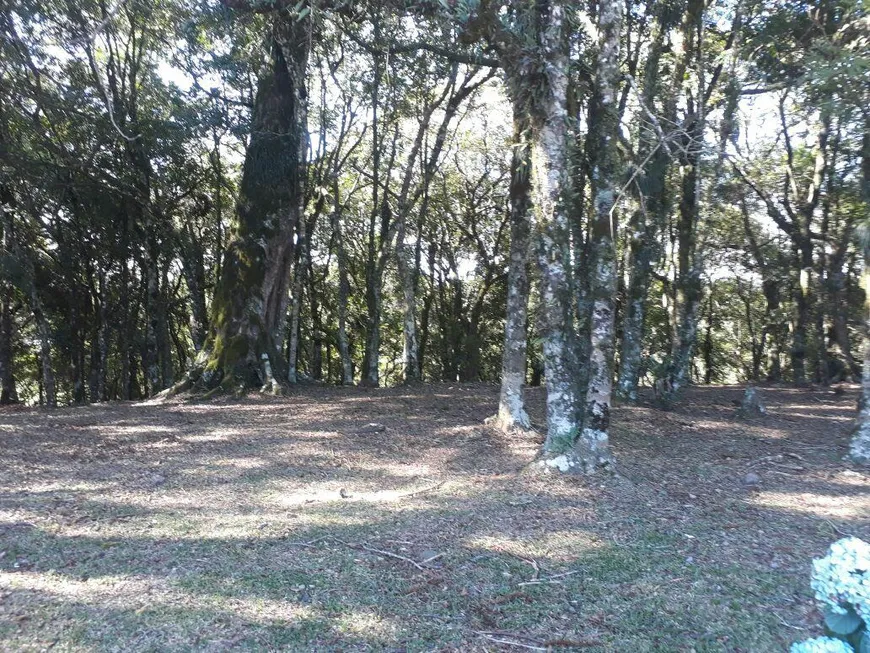 Foto 1 de Lote/Terreno à venda, 1436m² em Floresta, Gramado