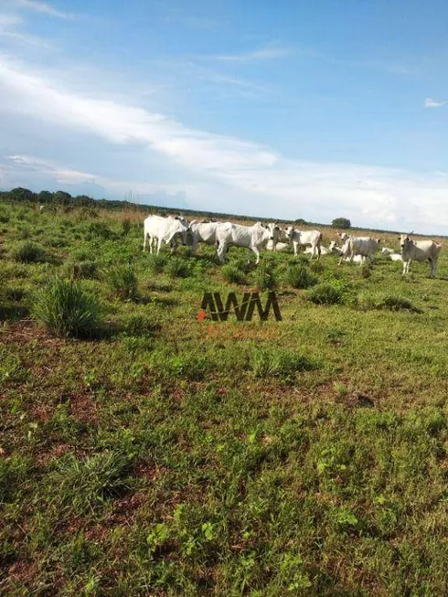 Foto 1 de Fazenda/Sítio à venda, 79279200m² em Zona Rural, Dueré