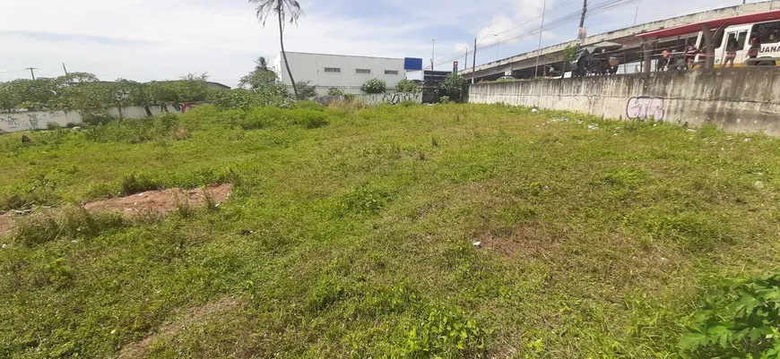 Foto 1 de Imóvel Comercial com 1 Quarto à venda, 10000m² em Igapó, Natal