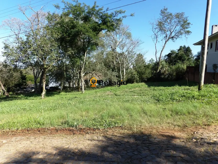 Foto 1 de Lote/Terreno à venda, 351m² em Chácara das Flores, Santa Maria