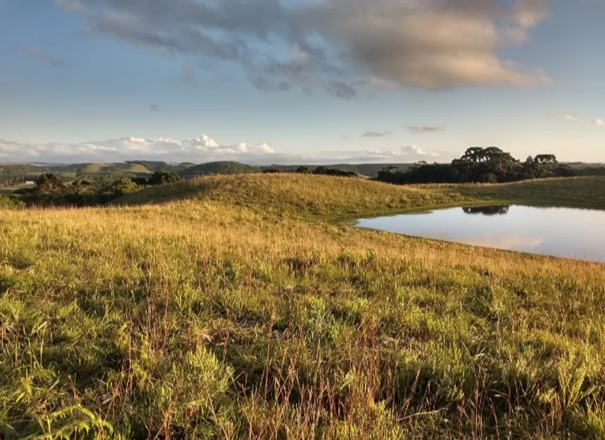 Foto 1 de Fazenda/Sítio à venda, 187000m² em Centro, Cambará do Sul