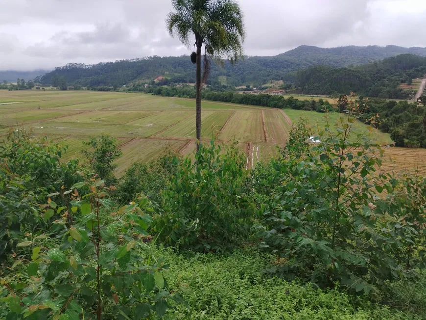 Foto 1 de Lote/Terreno à venda, 29176m² em Centro, Doutor Pedrinho