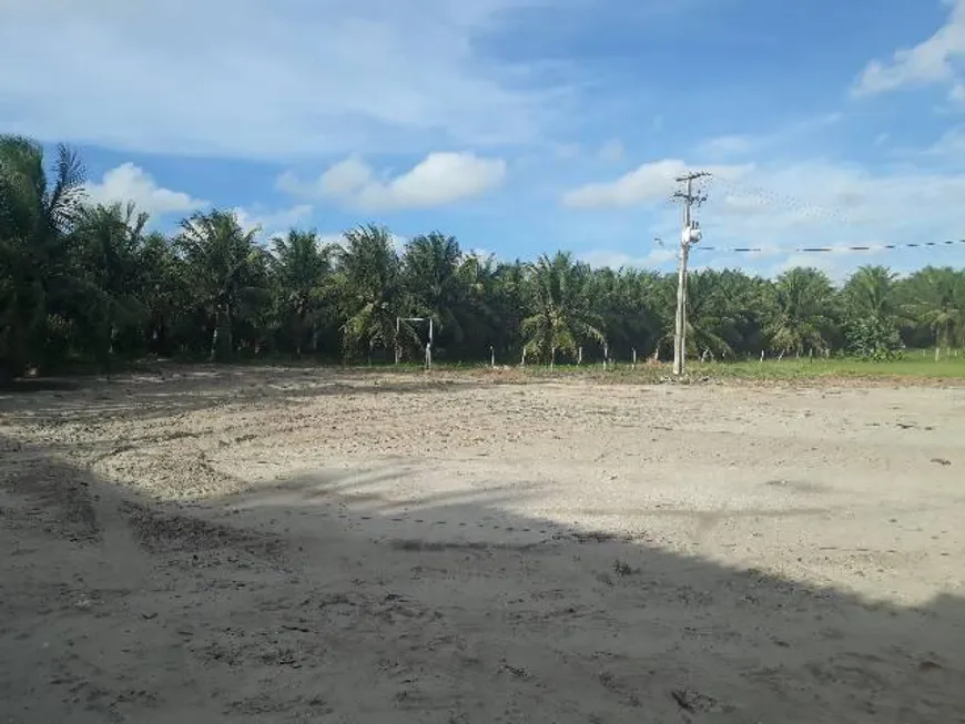 Foto 1 de Fazenda/Sítio com 4 Quartos à venda, 40000m² em Sitio Arena, São José de Mipibu