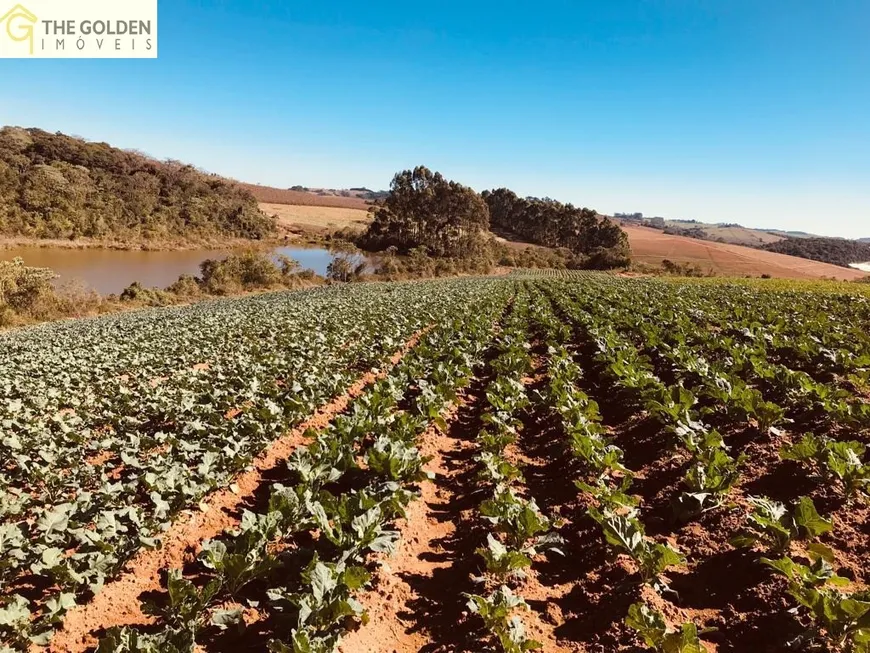 Foto 1 de Fazenda/Sítio com 3 Quartos à venda, 73000m² em Rural, Toledo