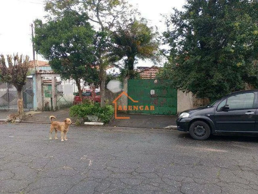 Foto 1 de Lote/Terreno à venda, 500m² em Vila Antonieta, São Paulo