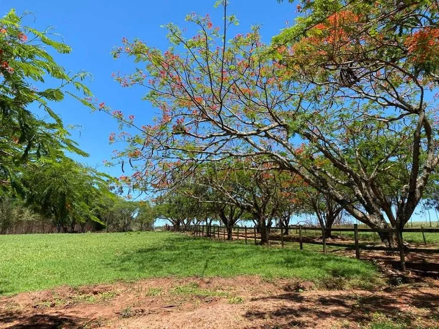 Foto 1 de Fazenda/Sítio à venda, 84600m² em , Boa Esperança do Sul