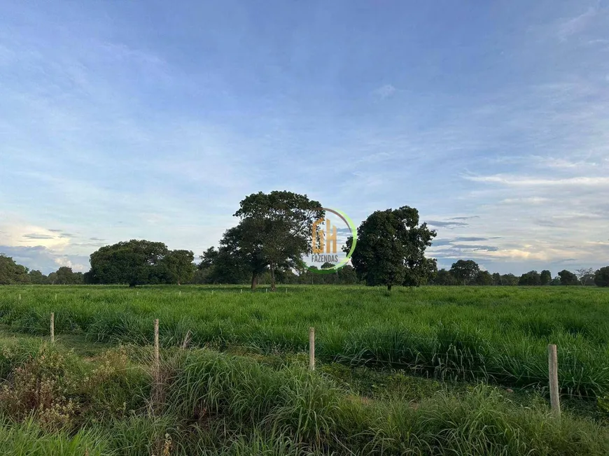 Foto 1 de Fazenda/Sítio à venda, 28072000m² em , Jussara