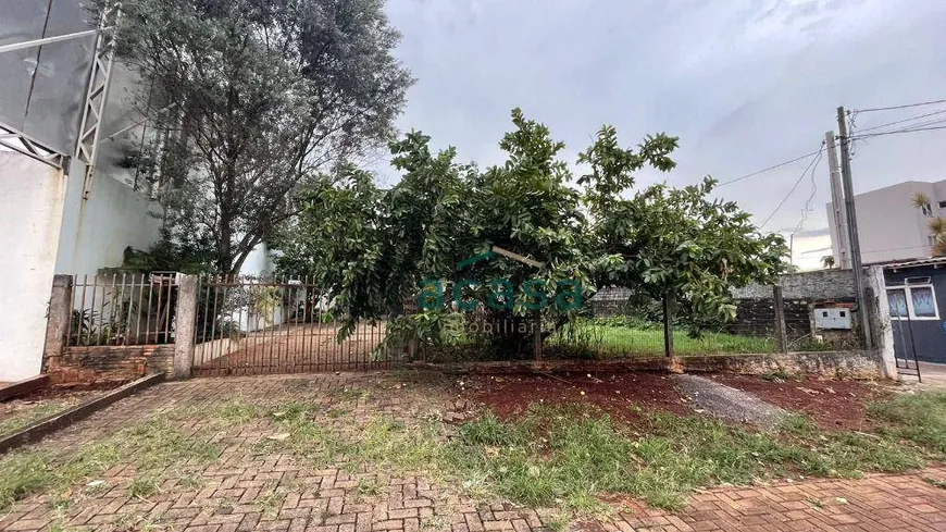 Foto 1 de Lote/Terreno à venda, 555m² em Centro, Cascavel