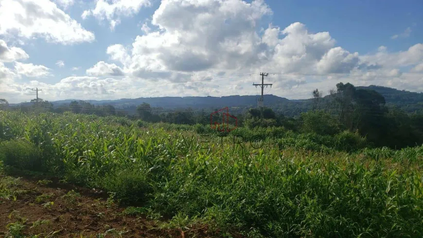 Foto 1 de Fazenda/Sítio à venda, 15600m² em Serra Grande, Gramado