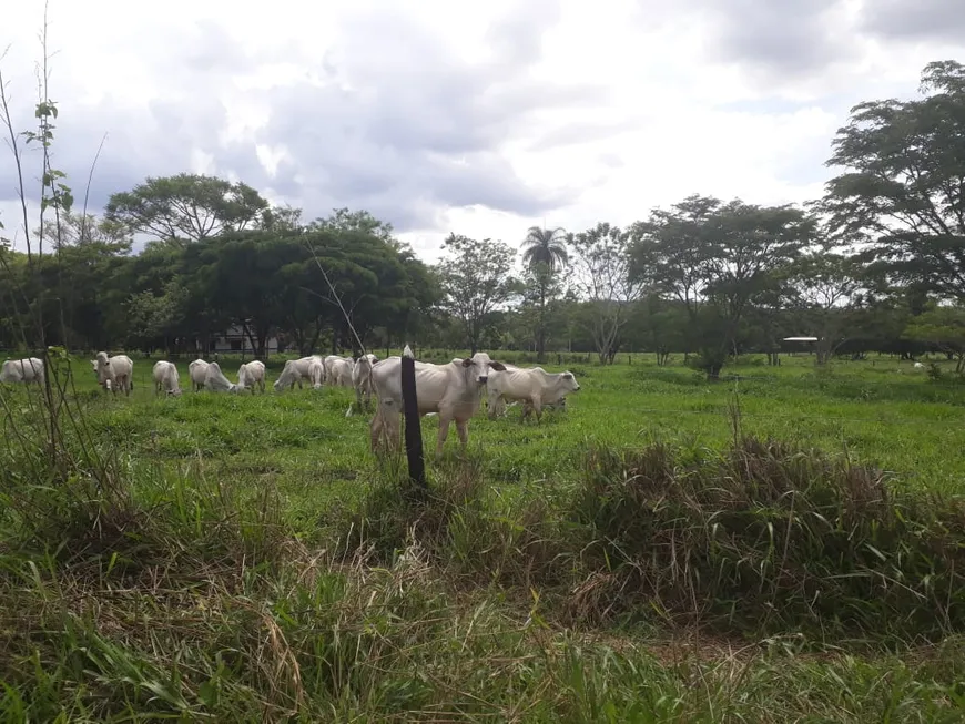 Foto 1 de Fazenda/Sítio à venda, 20000m² em Zona Rural, Araçaí