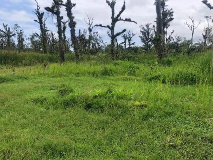 Foto 1 de Lote/Terreno à venda, 250m² em Jussara, Mongaguá