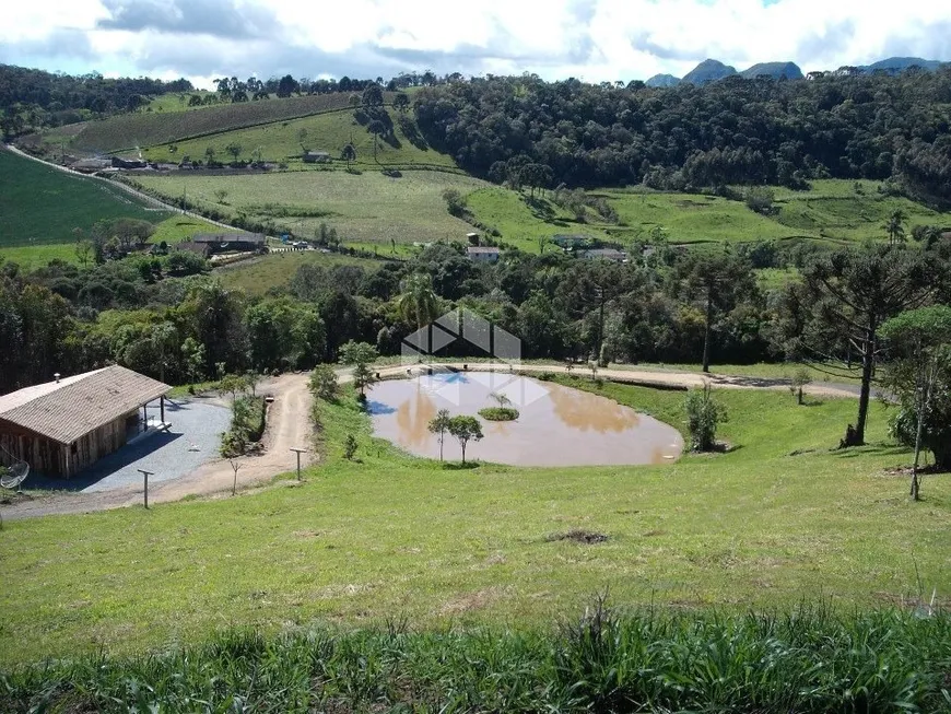 Foto 1 de Casa com 3 Quartos à venda, 60000m² em Centro, Alfredo Wagner