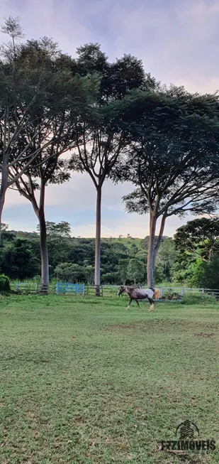 Foto 1 de Fazenda/Sítio com 4 Quartos à venda, 11m² em Zona Rural, Alexânia