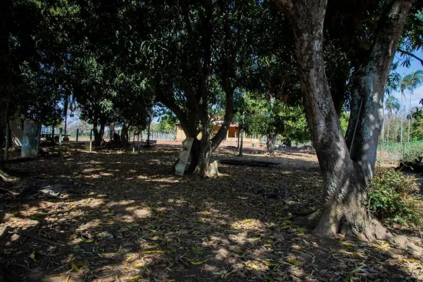 Foto 1 de Fazenda/Sítio com 2 Quartos à venda, 2500m² em Cova da Gia, Simões Filho