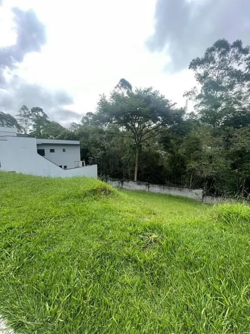 Foto 1 de Lote/Terreno com 1 Quarto à venda, 250m² em Residencial Mosaico da Serra, Mogi das Cruzes