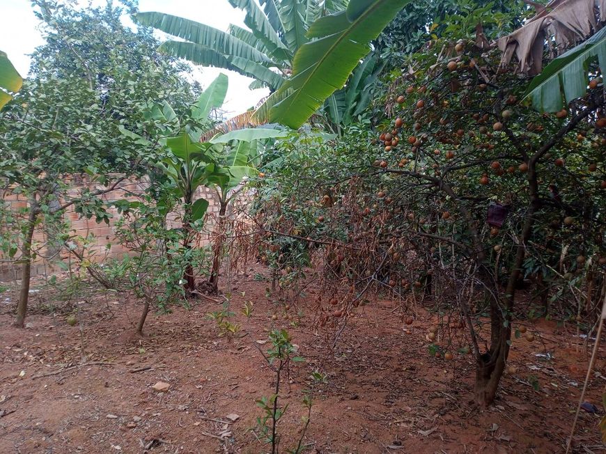 Lote para Venda - Betim / MG no bairro Petrovale, área total 371,00 m²