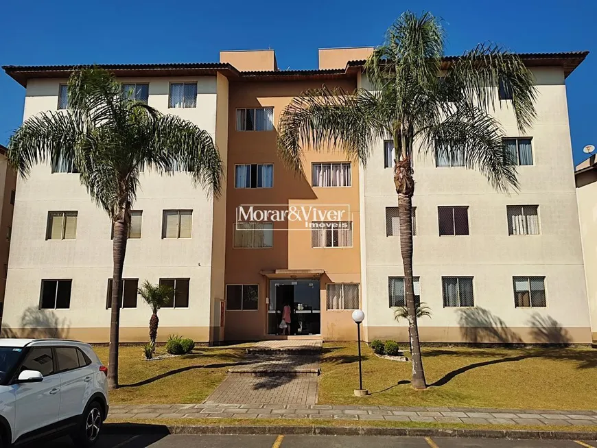 Foto 1 de Apartamento com 3 Quartos à venda, 66m² em Ina, São José dos Pinhais