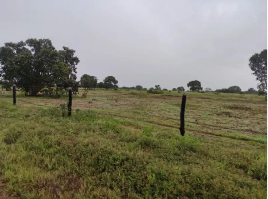 Foto 1 de Fazenda/Sítio com 6 Quartos à venda, 600m² em Centro, Lagoa da Confusão