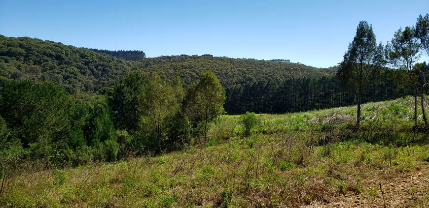 Foto 1 de Fazenda/Sítio com 1 Quarto à venda, 89215m² em Campestre, Colombo