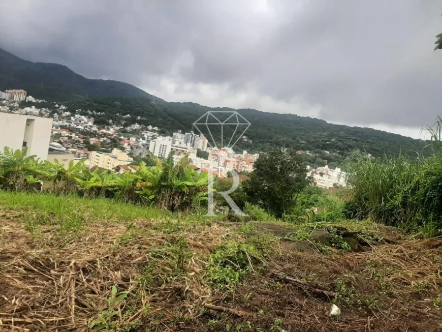 Foto 1 de Lote/Terreno à venda, 3800m² em Córrego Grande, Florianópolis