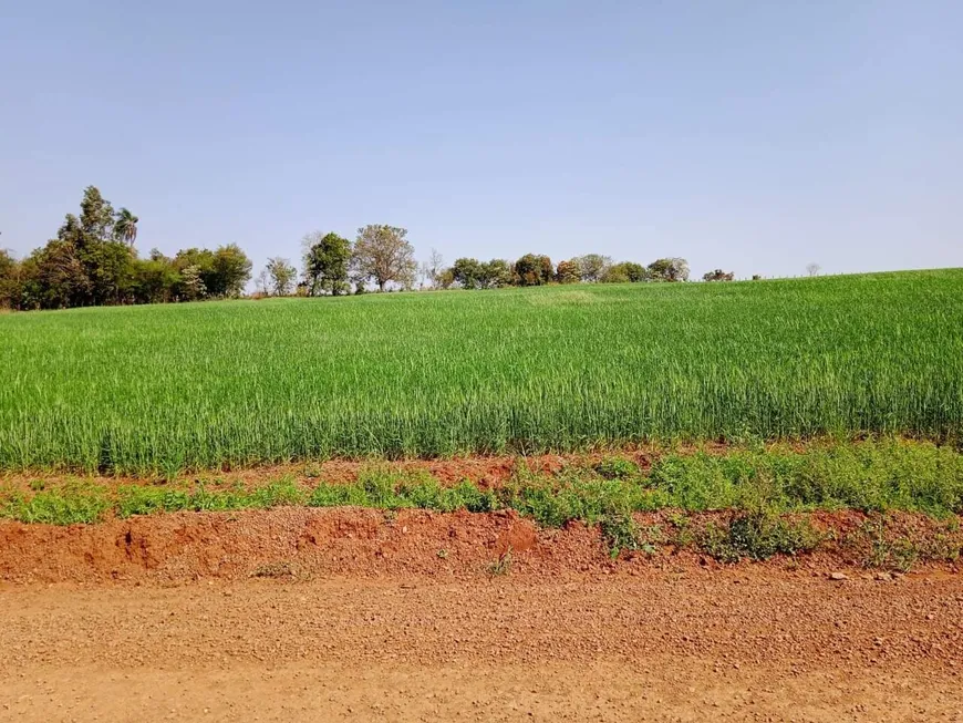 Foto 1 de Lote/Terreno à venda, 1900m² em Conventos, Lajeado