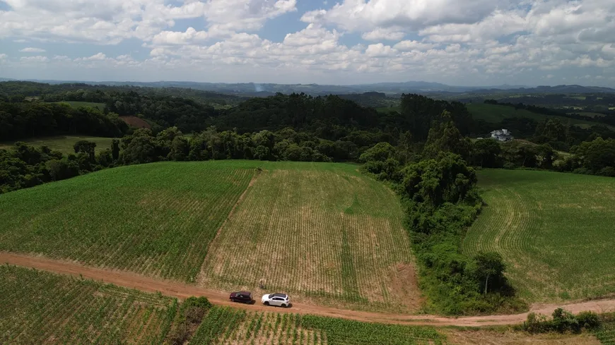 Foto 1 de Fazenda/Sítio à venda, 20000m² em Centro, Campo Alegre