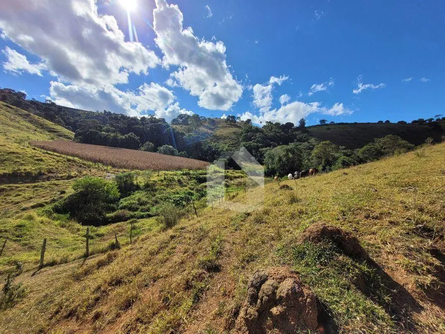 Foto 1 de Fazenda/Sítio com 4 Quartos à venda, 61000m² em Zona Rural, Bandeira do Sul