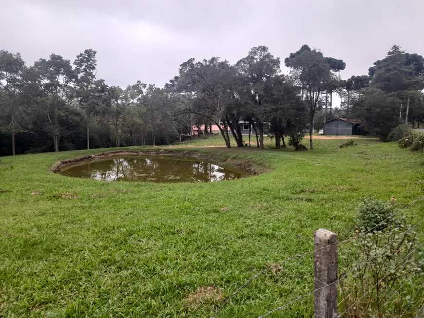 Foto 1 de Fazenda/Sítio com 3 Quartos à venda, 72600m² em Roça Velha, São José dos Pinhais