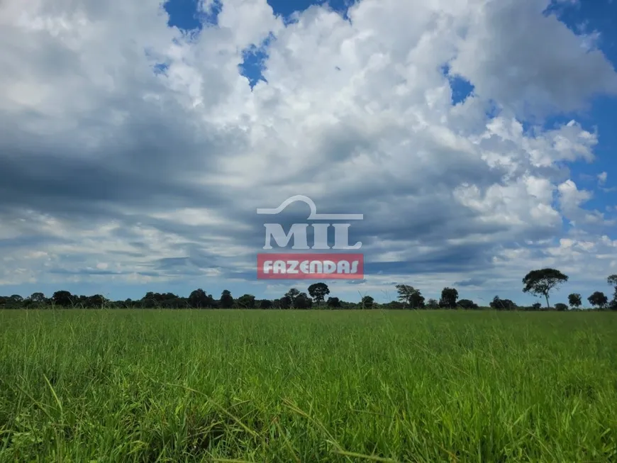 Foto 1 de Fazenda/Sítio à venda, 5856400m² em Centro, Britânia