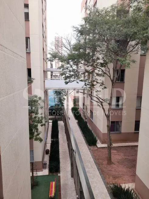 Foto 1 de Apartamento com 3 Quartos à venda, 52m² em Super Quadra, São Paulo