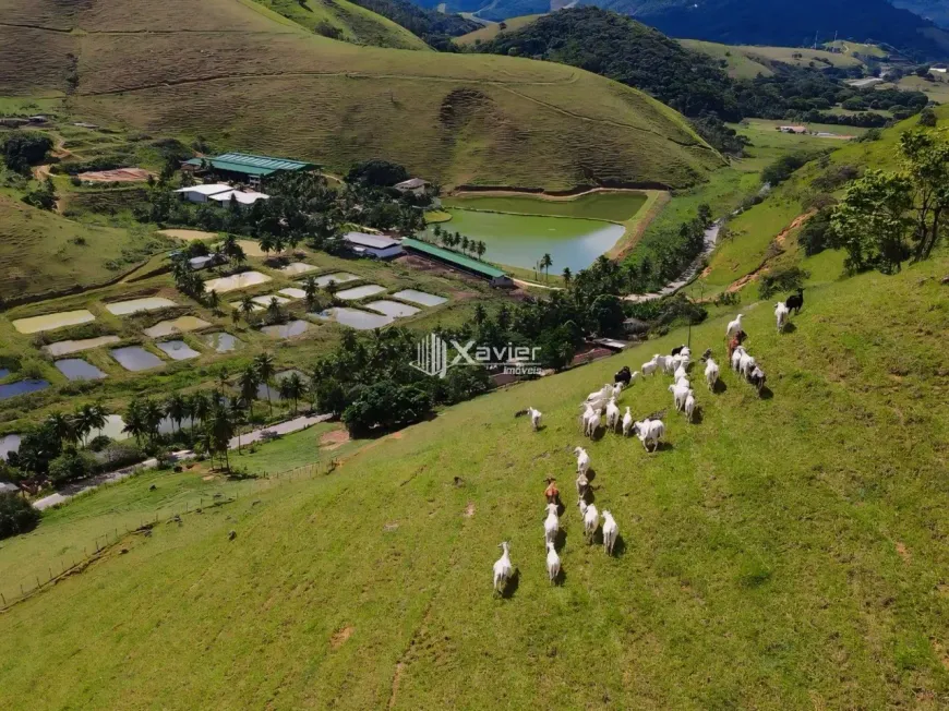 Foto 1 de Fazenda/Sítio com 3 Quartos à venda, 193600m² em , Anchieta