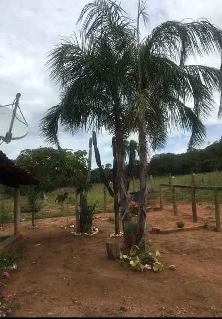 Foto 1 de Fazenda/Sítio à venda em Zona Rural, Israelândia