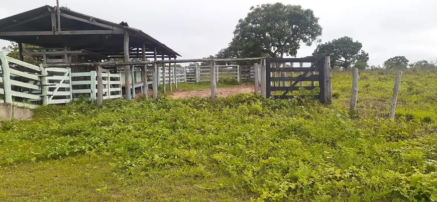 Foto 1 de Fazenda/Sítio à venda em Centro, Posse