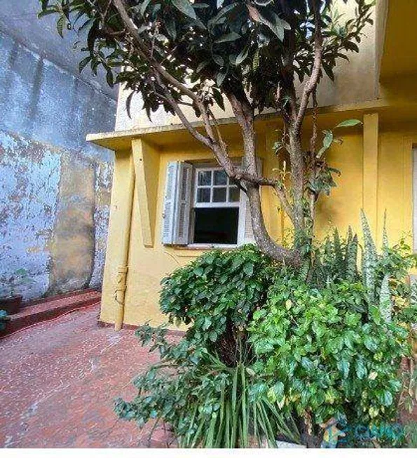 Foto 1 de Casa com 6 Quartos à venda, 250m² em Vila Prudente, São Paulo