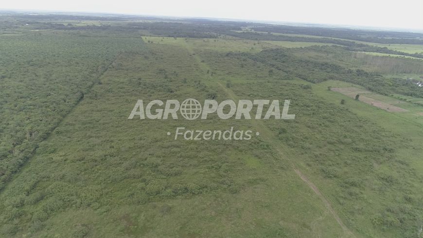 Foto 1 de Fazenda/Sítio à venda, 990000m² em Pirapora, Castanhal