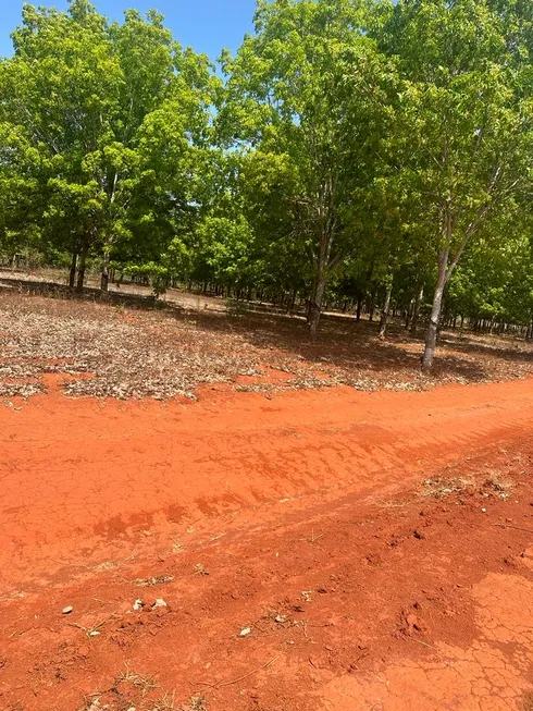 Foto 1 de Fazenda/Sítio à venda, 136m² em Setor Central, Cristalândia