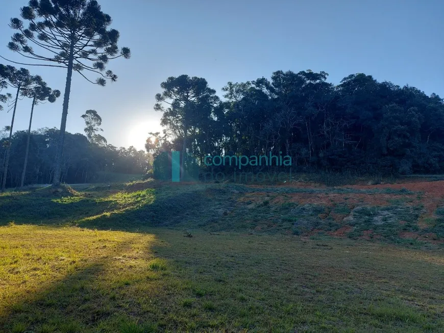 Foto 1 de Lote/Terreno à venda, 1060m² em Vila Conceicao, Campo Largo