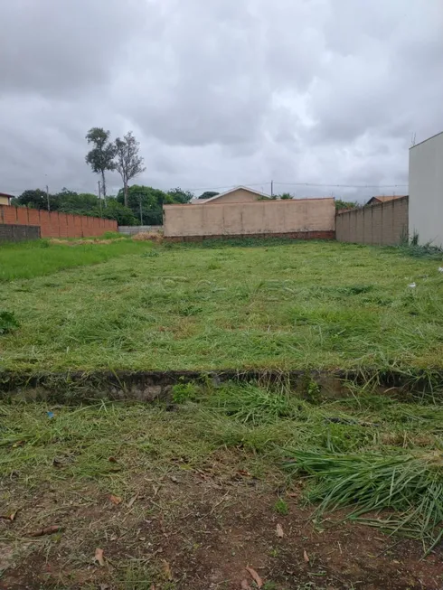 Foto 1 de para alugar, 550m² em City Ribeirão, Ribeirão Preto