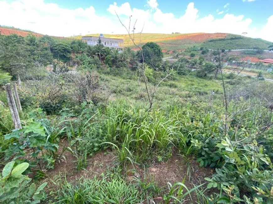 Foto 1 de Lote/Terreno à venda, 5000m² em Ipojuca, Ipojuca